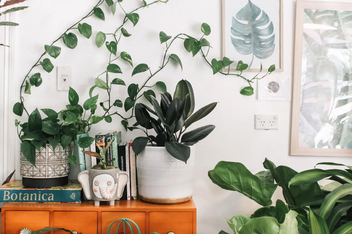 Trailing pothos and potted plants styled on a wooden credenza against a white wall