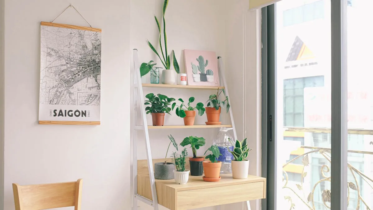 Indoor potted plants arranged on a shelf by an apartment window