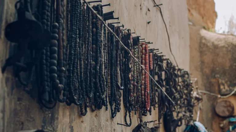 Hanging jewelry and accessory organizer