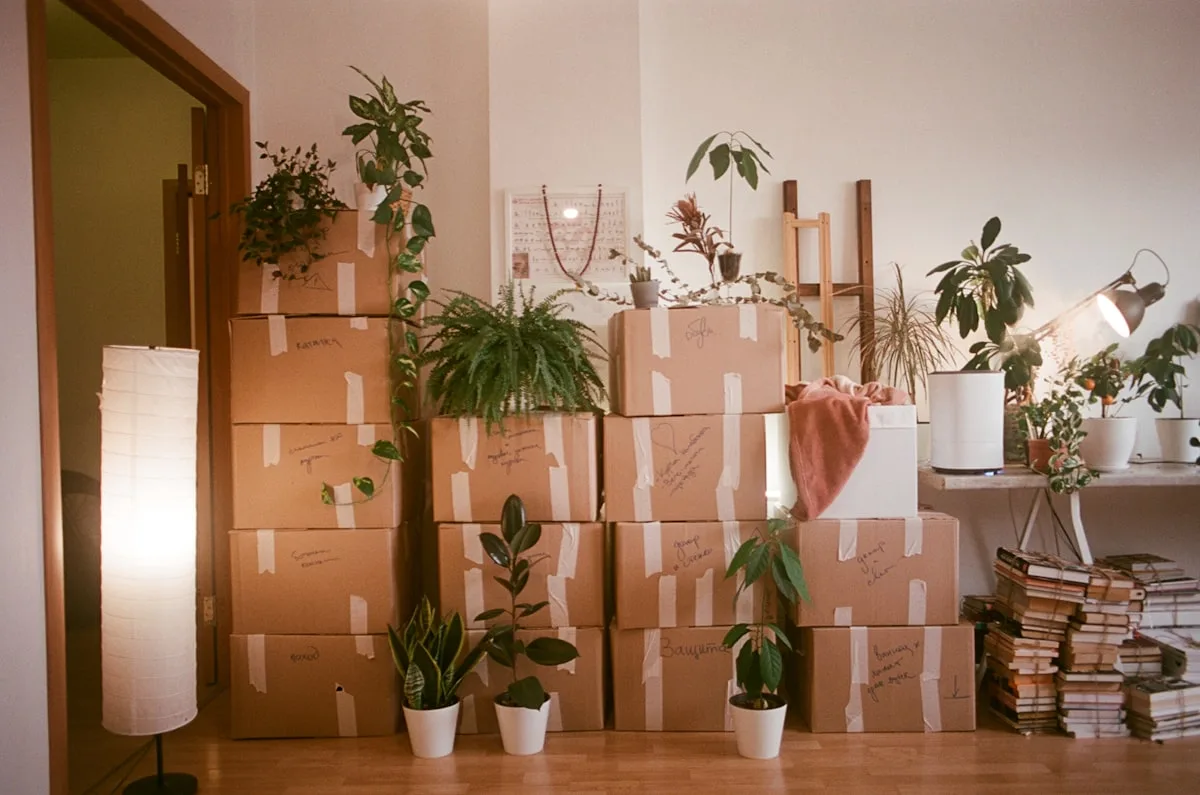 Stacked cardboard moving boxes with houseplants in a bright apartment