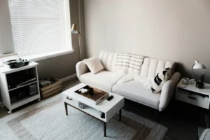 One Bedroom Apartment Decorating Ideas for a Small but Separated Space One bedroom apartment living area with a white sofa, coffee table and rug in a soft palette
