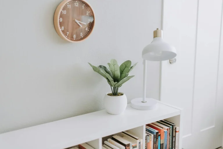 Tidy white shelf with books, a plant, and a lamp in an organized small space