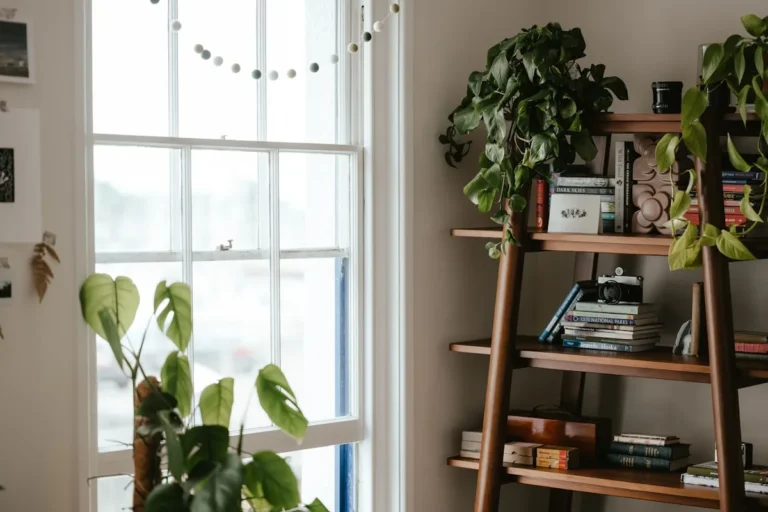 Leaning ladder bookshelf styled with books and plants by a sunny window